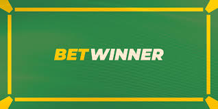 Everything You Need to Know About Betwinner Casino 0