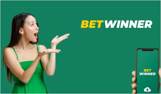 Everything You Need to Know About Betwinner Casino 0