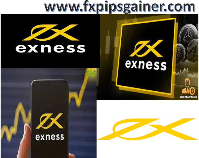 Unlocking the Potential of Exness Broker Bonus Unlocking the Potential of Exness Broker Bonus